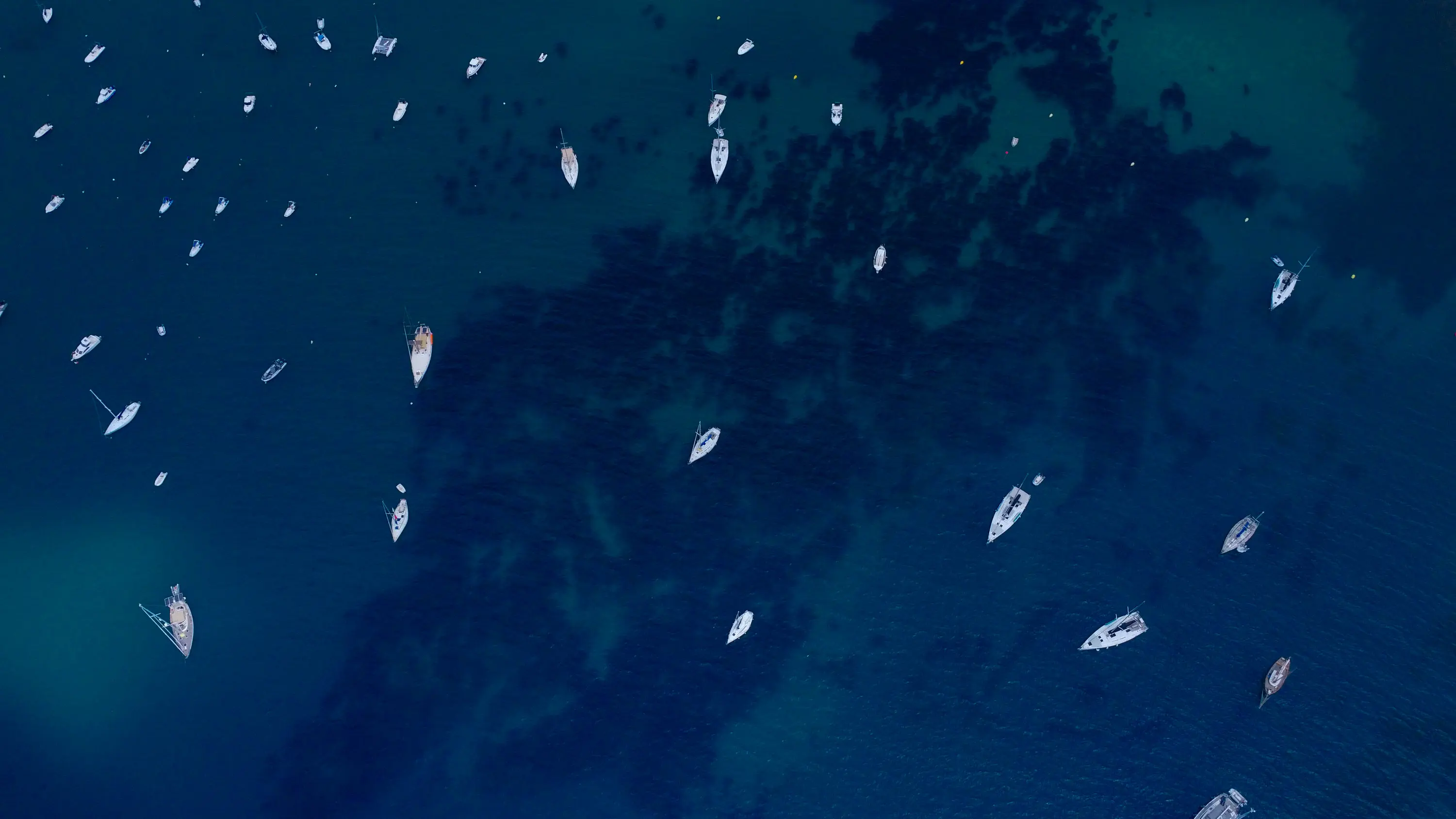 Aerial view of numerous sailboats floating on deep blue water with lighter patches and shadows beneath the surface, creating a calm and serene atmosphere