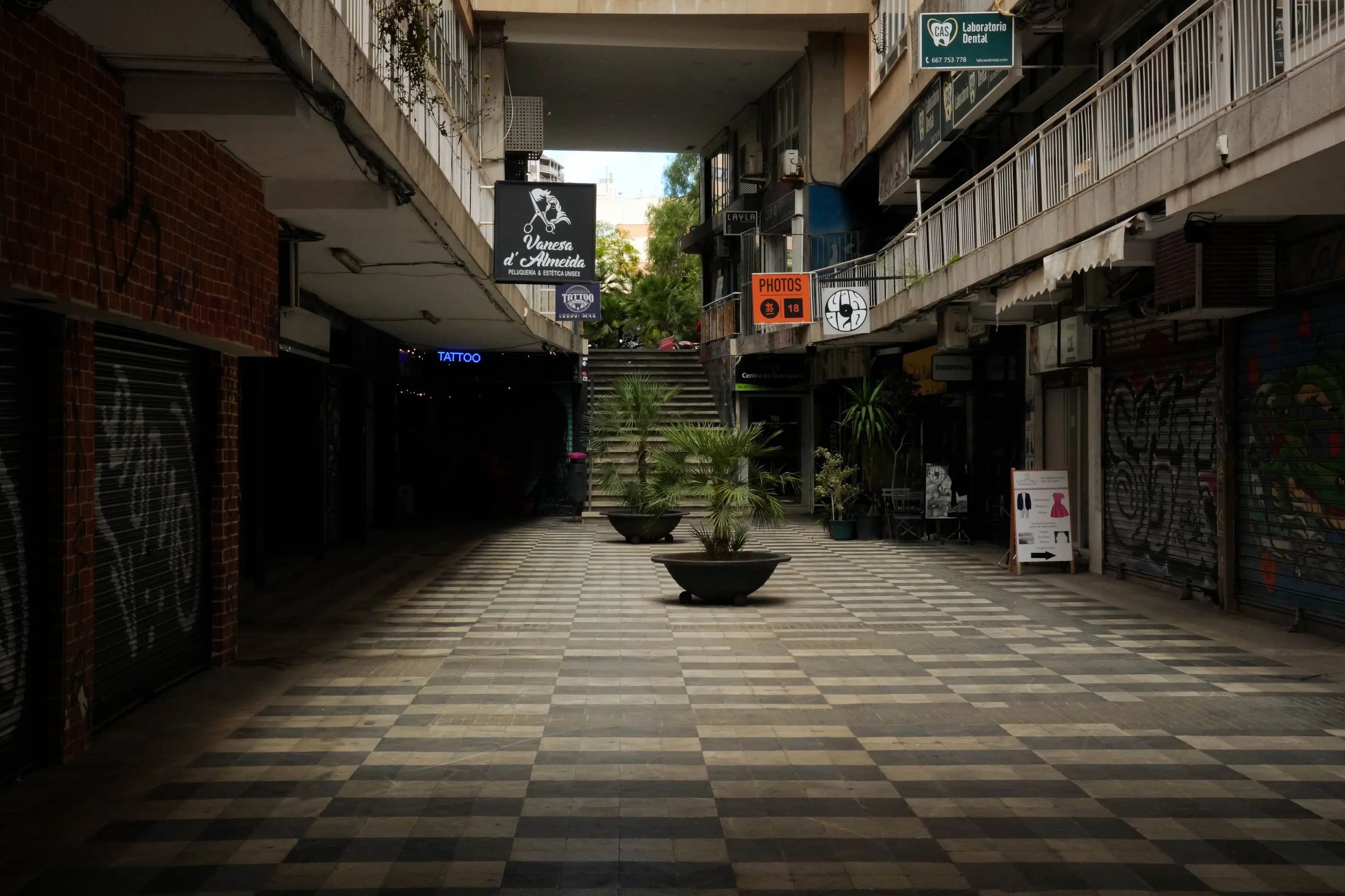 Photo 5